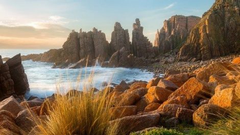 Cape Woolamai State Faunal Reserve