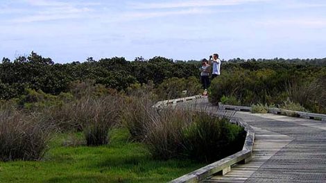 Rhyll Inlet State Wildlife Reserve