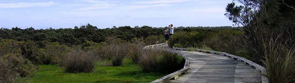 Rhyll Inlet State Wildlife Reserve