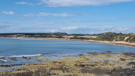 Summerlands 029