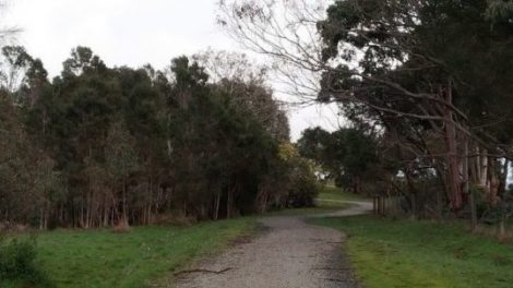 Conservation Hill Reserve