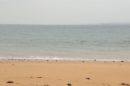 Flynns Beach