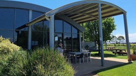 Purple Hen Winery 010