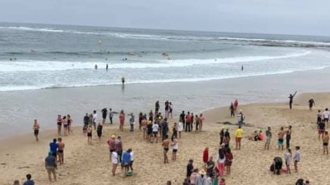 Cape Paterson Aquathon